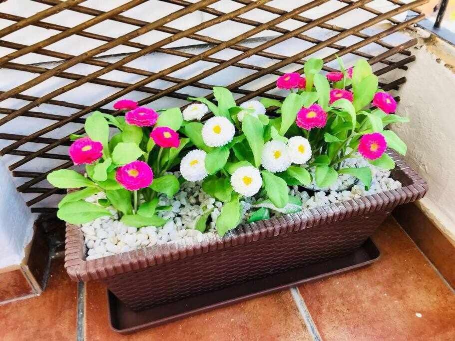 Reus, Lovely Flat Close To Center Valencia Ngoại thất bức ảnh